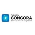 Grupo Góngora