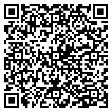 ALO 12 inch Metallic Chrome Balloon QRCode